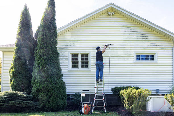 Best Gutter Cleaning  in Stanhope, NJ